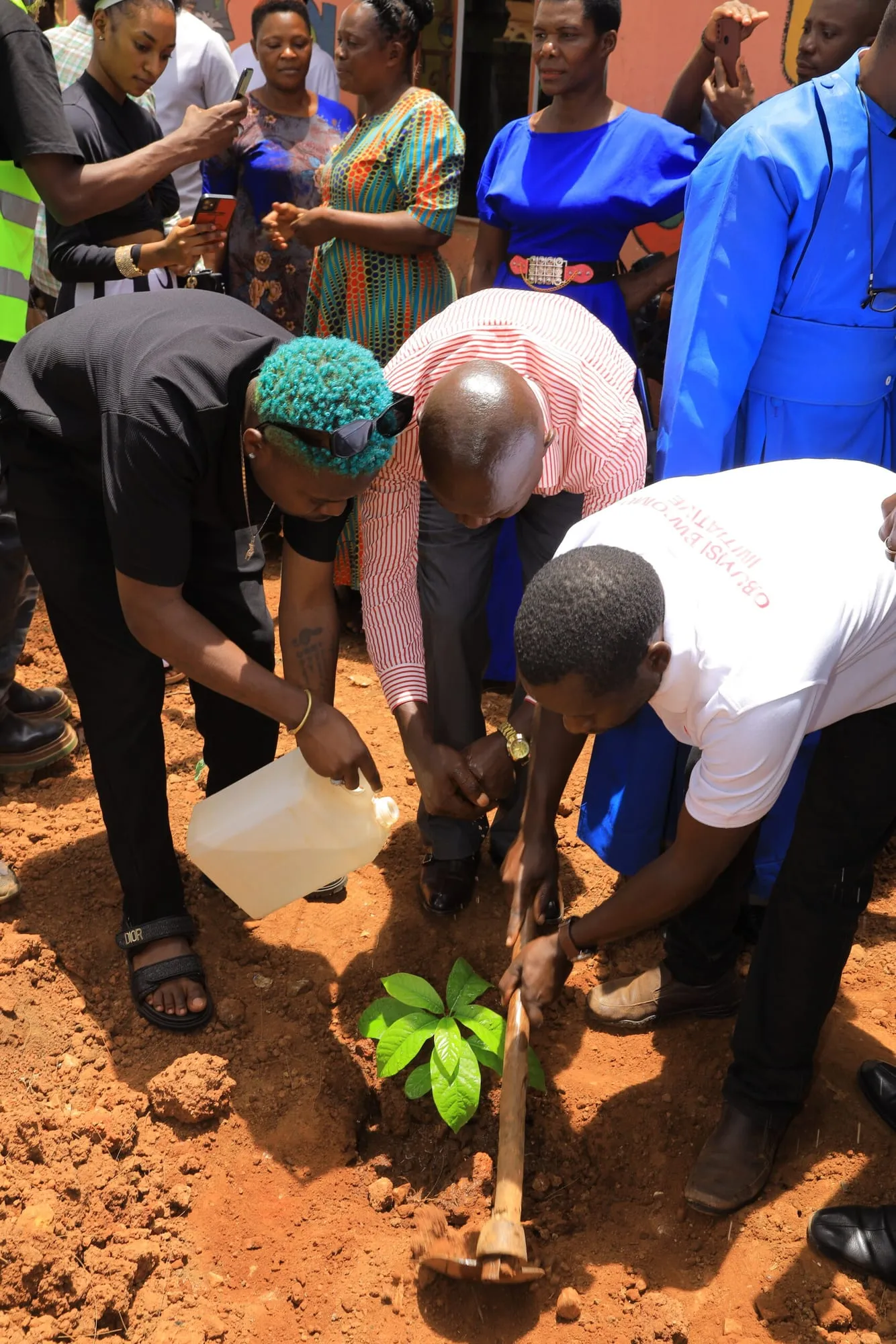 Community members planting a tree seedling